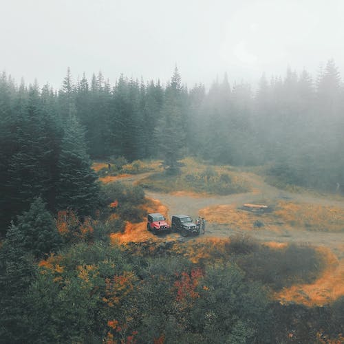 A red jeep is parked in the middle of a forest.